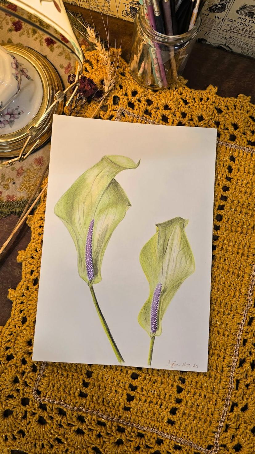 Flor de Antúrio
