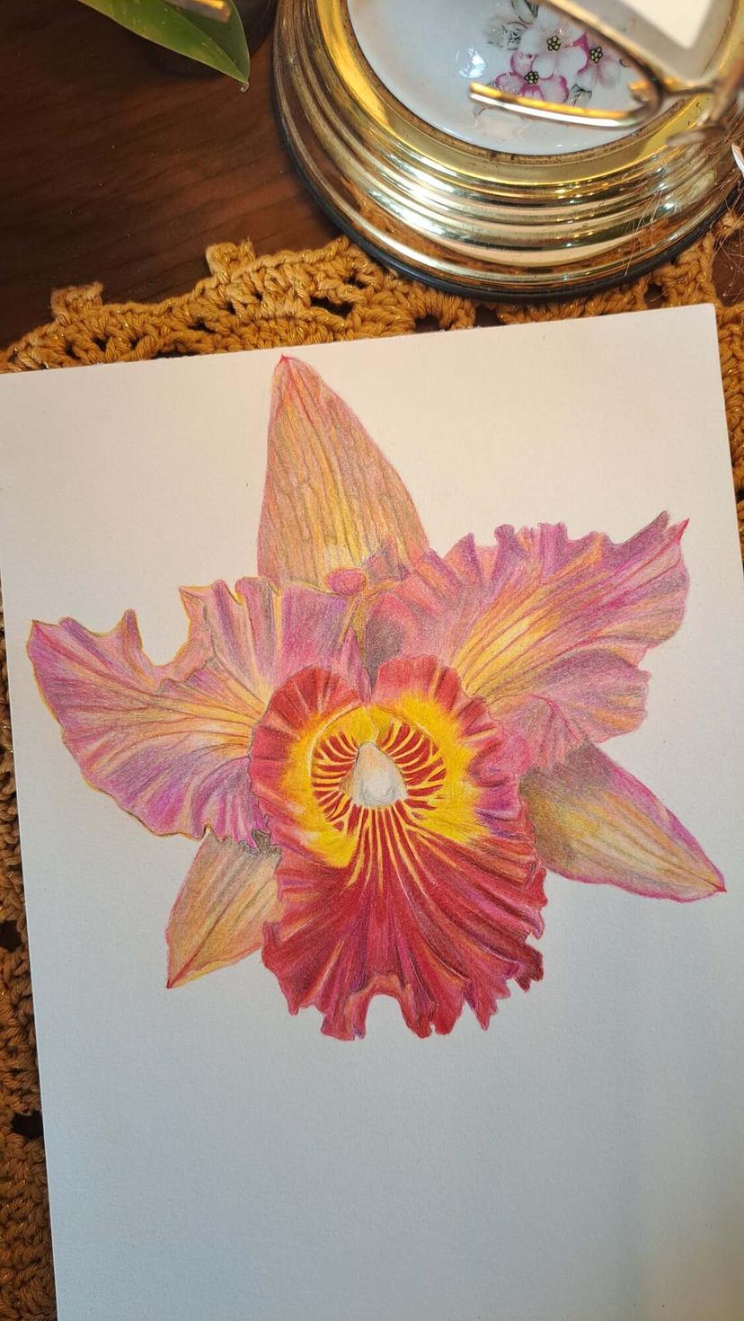 Orquídea cattleya